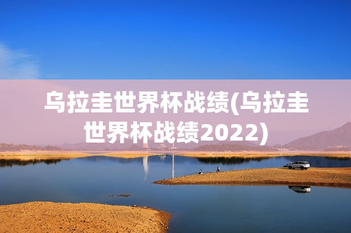 乌拉圭世界杯战绩(乌拉圭世界杯战绩2022)