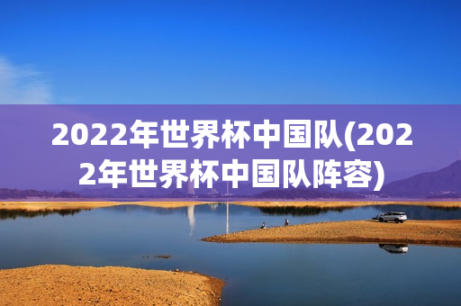 2022年世界杯中国队(2022年世界杯中国队阵容)