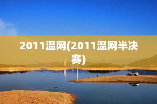 2011温网(2011温网半决赛)