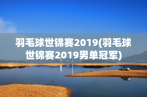 羽毛球世锦赛2019(羽毛球世锦赛2019男单冠军)