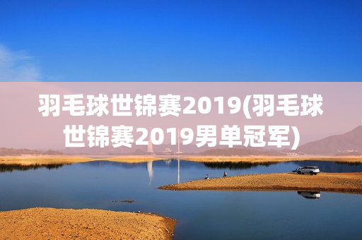 羽毛球世锦赛2019(羽毛球世锦赛2019男单冠军)