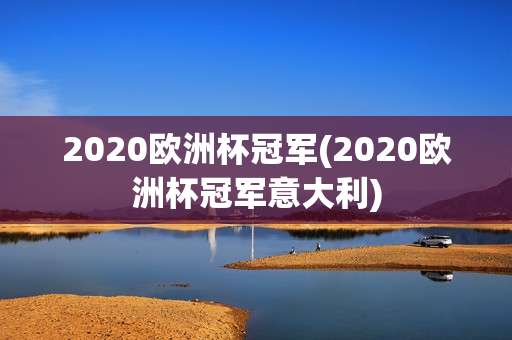 2020欧洲杯冠军(2020欧洲杯冠军意大利)