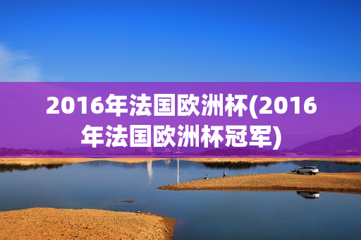 2016年法国欧洲杯(2016年法国欧洲杯冠军)